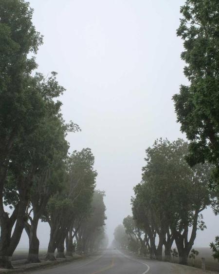 面料之旅：从苏州到意大利Como